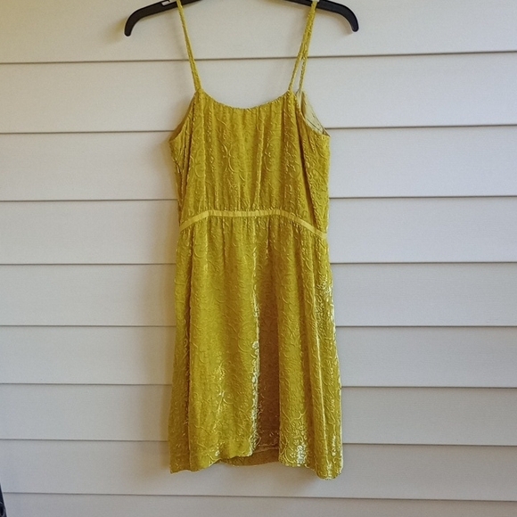 Antropologe Mustard Lace Mini Dress - Picture 12 of 16
